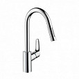 Фотография товара Hansgrohe Focus   31815000