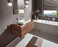 Фотография товара Hansgrohe Pulsify Select 24100000