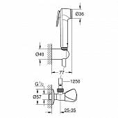 Гигиенический набор с вентилем Grohe Tempesta-F Trigger Spray 30 26357000