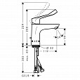 Фотография товара Hansgrohe Focus   31911000