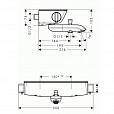 Фотография товара Hansgrohe Ecostat 13141400