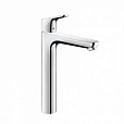 Фотография товара Hansgrohe Focus   31531000