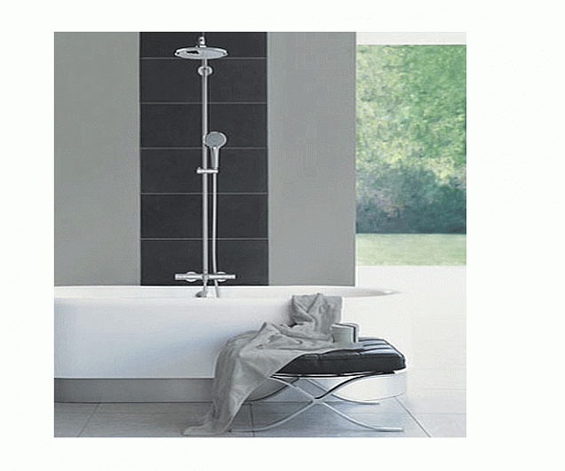 Фотография товара Grohe Euphoria 27222000Gr