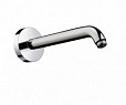 Фотография товара Hansgrohe No design line Hansgrohe 27412000