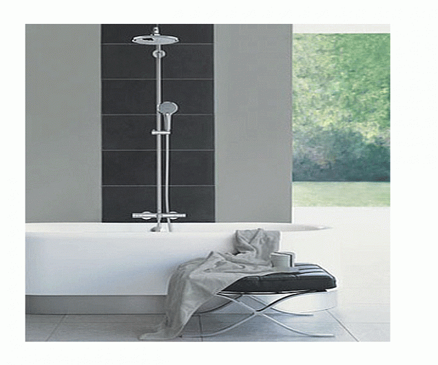 Фотография товара Grohe Euphoria 27238000Gr