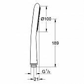 Ручной душ Grohe Rainshower 27276LS0