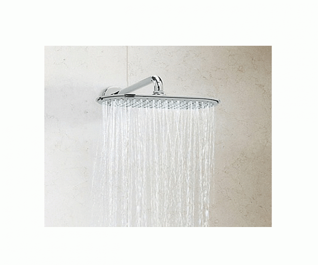 Фотография товара Grohe Rainshower Cosmopolitan Metal 26058000Gr