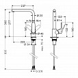 Фотография товара Hansgrohe Focus   31817000