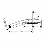 Душевая лейка, 120 мм, 3 струи, белая, Hansgrohe Raindance Select S 26531700