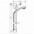 Фотография товара Hansgrohe Crometta 27729000