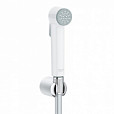 Фотография товара Grohe Trigger Spray 26355IL0Gr