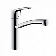 Фотография товара Hansgrohe Focus   31806800