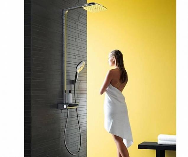 Фотография товара Hansgrohe Raindance 27113000