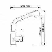 Смеситель для кухни WasserKraft A8247