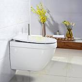 Сидение с крышкой BelBagno Flay-R с микролифтом BB2031SC