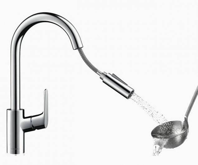 Фотография товара Hansgrohe Focus   31815800