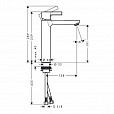 Фотография товара Hansgrohe Metris S   31026000