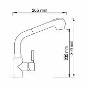 Смеситель для кухни WasserKraft Wern 4266