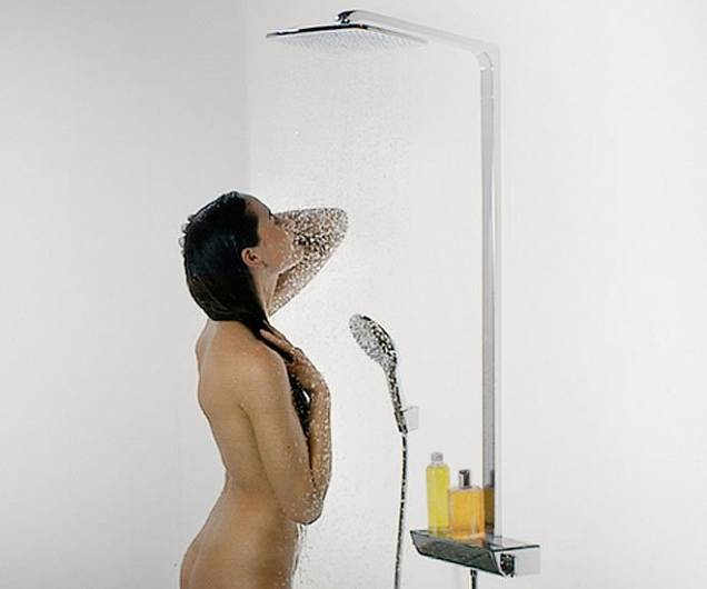 Фотография товара Hansgrohe Raindance 27113000