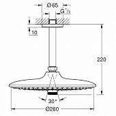 Верхний душ Grohe Euphoria 26461000