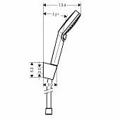 Душевой гарнитур Hansgrohe Crometta 26692400