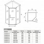 Душевой уголок 80х80 см, стекло матовое, RGW Passage PA-81 01088188-21