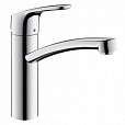 Фотография товара Hansgrohe Focus   31816000