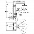 Фотография товара Grohe Euphoria 26249000Gr